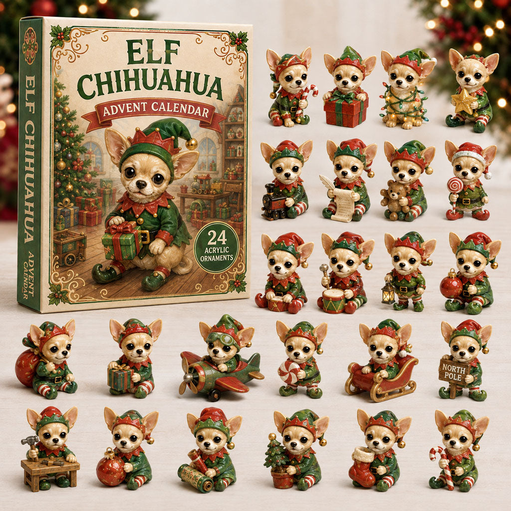 Christmas Advent Calendar Collection🎄🎁