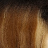 13x6 HD lace front wig in FLAMBOYAGE BLONDE