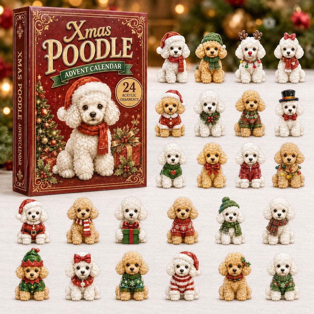 Christmas Advent Calendar Collection🎄🎁