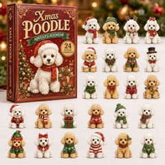 Christmas Advent Calendar Collection🎄🎁