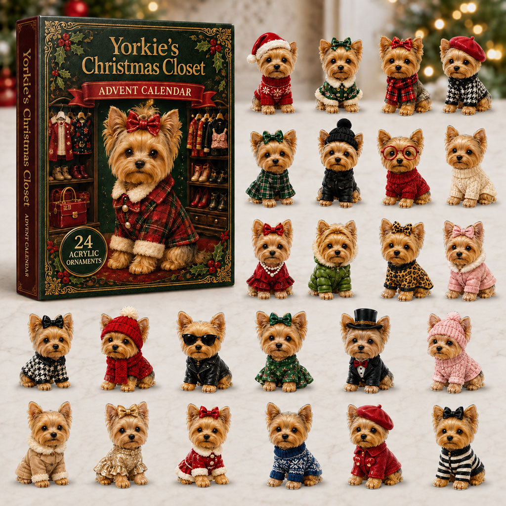 Christmas Advent Calendar Collection🎄🎁